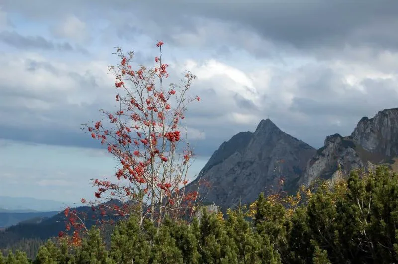 Jesienny Giewont