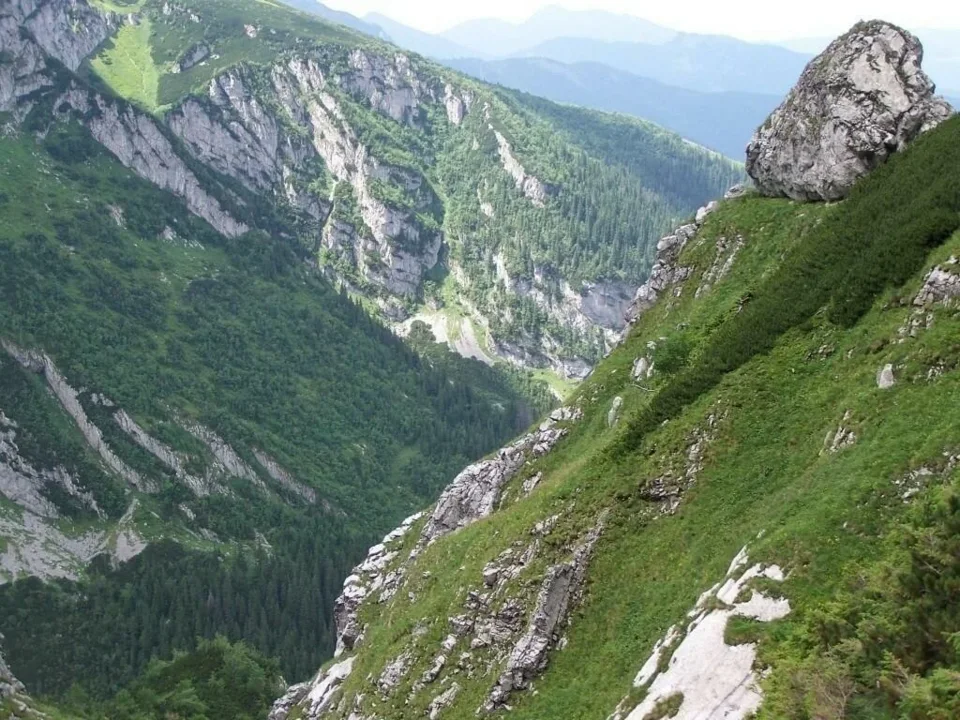 ,