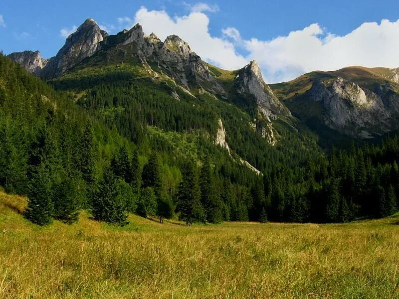 Giewont od strony Małej Łąki