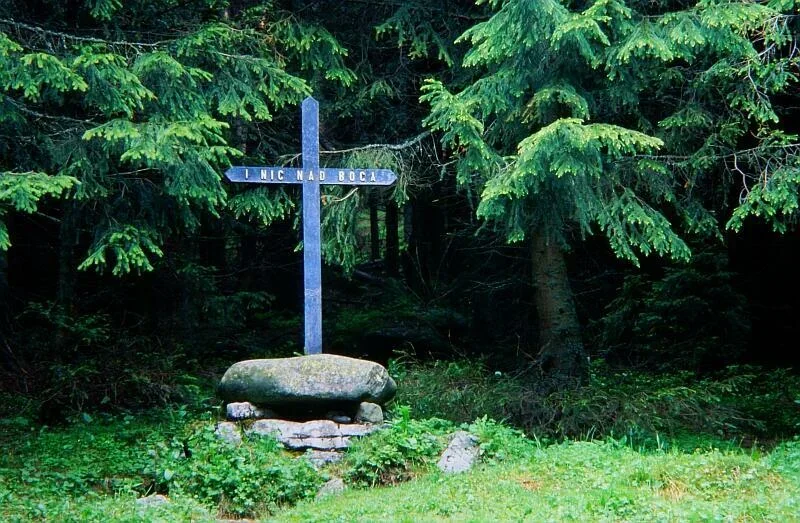 Krzyż Wicentego Pola na Polanie Smytniej
