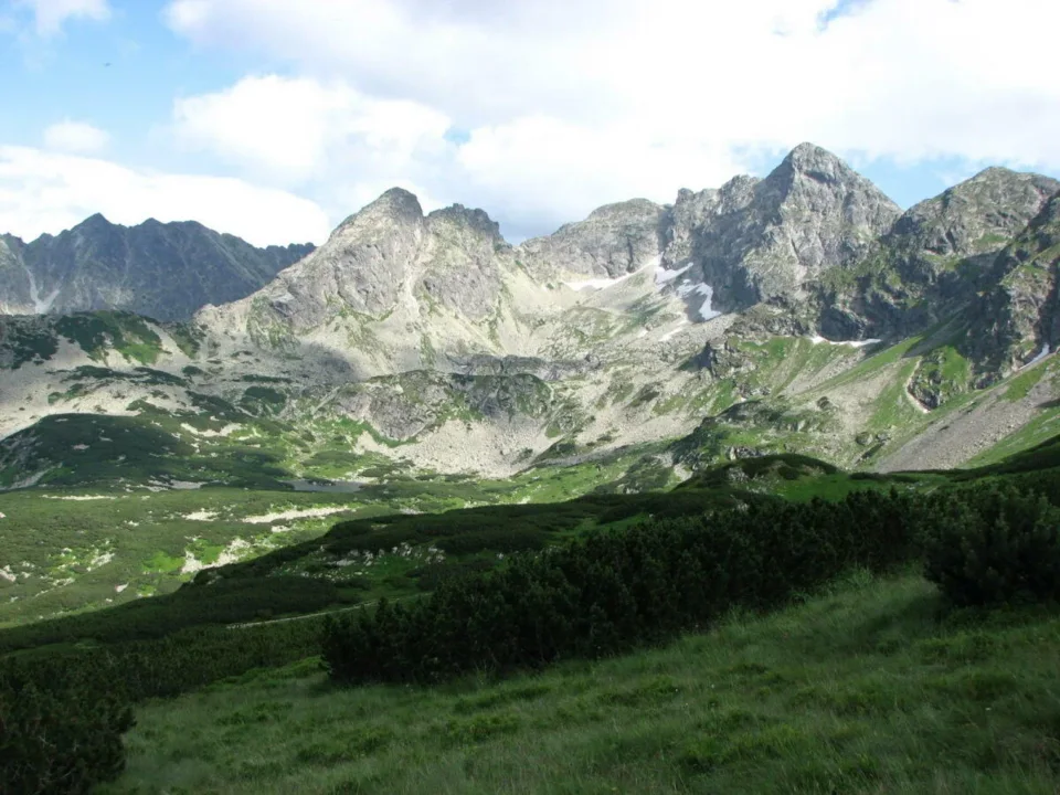 widoczek 2