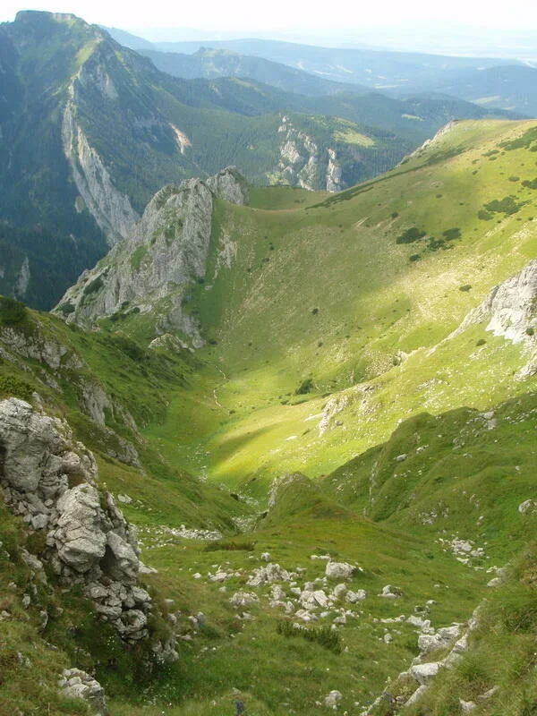 Siodełka