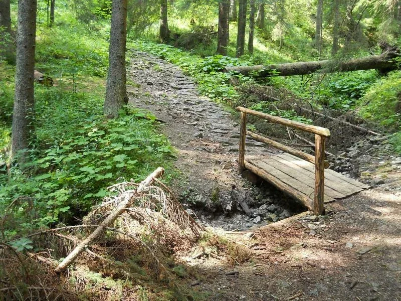 Wejście na Hale Stoły