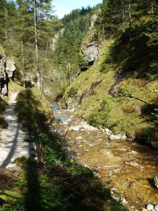 Juranova dolina