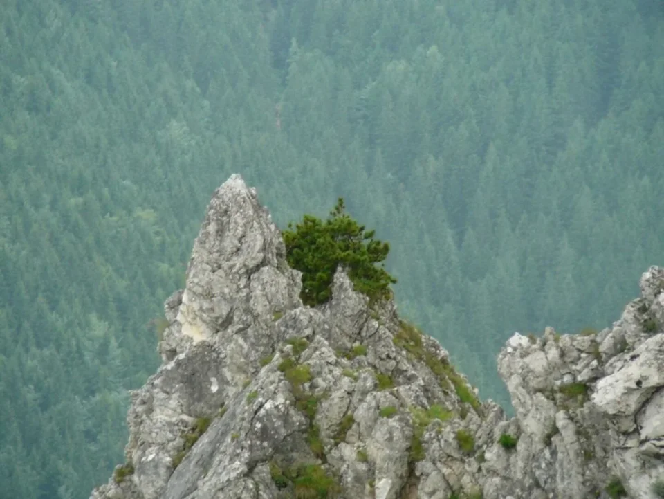 Widok z Sarniej Skały
