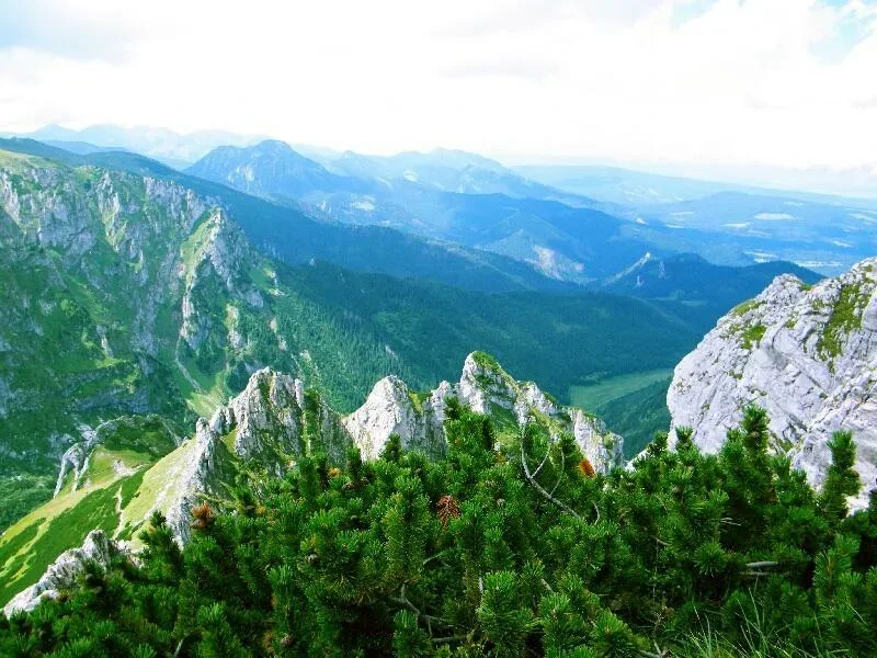 WIDOK NA TATRY ZACHODNIE Z SARNIEJ SKAŁY