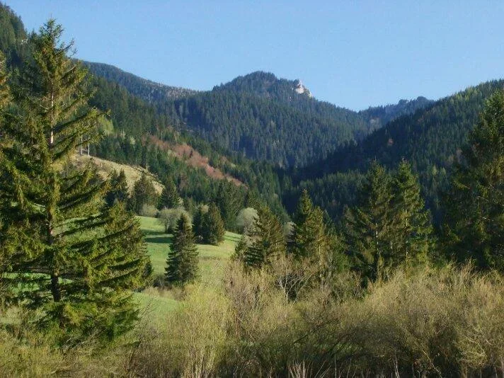 Maly Ostry grun Biela skala Palenica