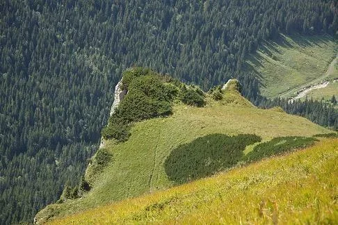 Kasina Turnia