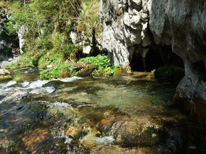 Wywierzysko w Koscieliskiej Doline_Lodowe Zrodlo pod Posredniou Koscieliskou Bramou