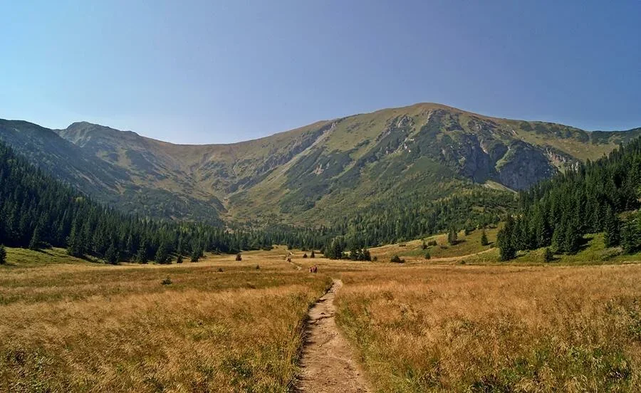 Na Przełęcz pod kondracką kopą