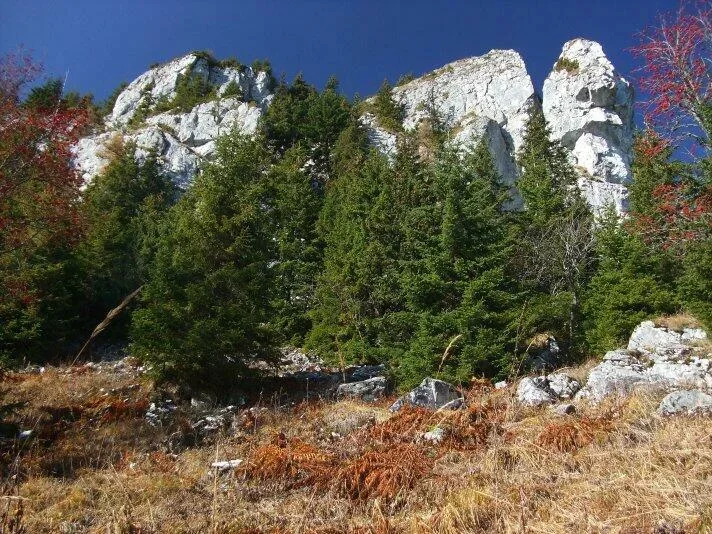 Mnich Skamenela dievka_Mara