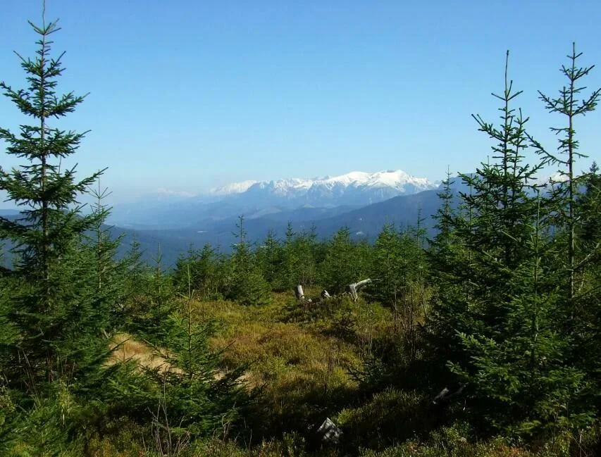Polskie Tatry Zachodnie zo Skorusiny 1314 m