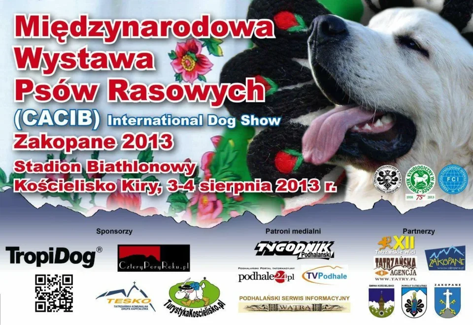 Międzynarodowa Wystawa Psów Rasowych