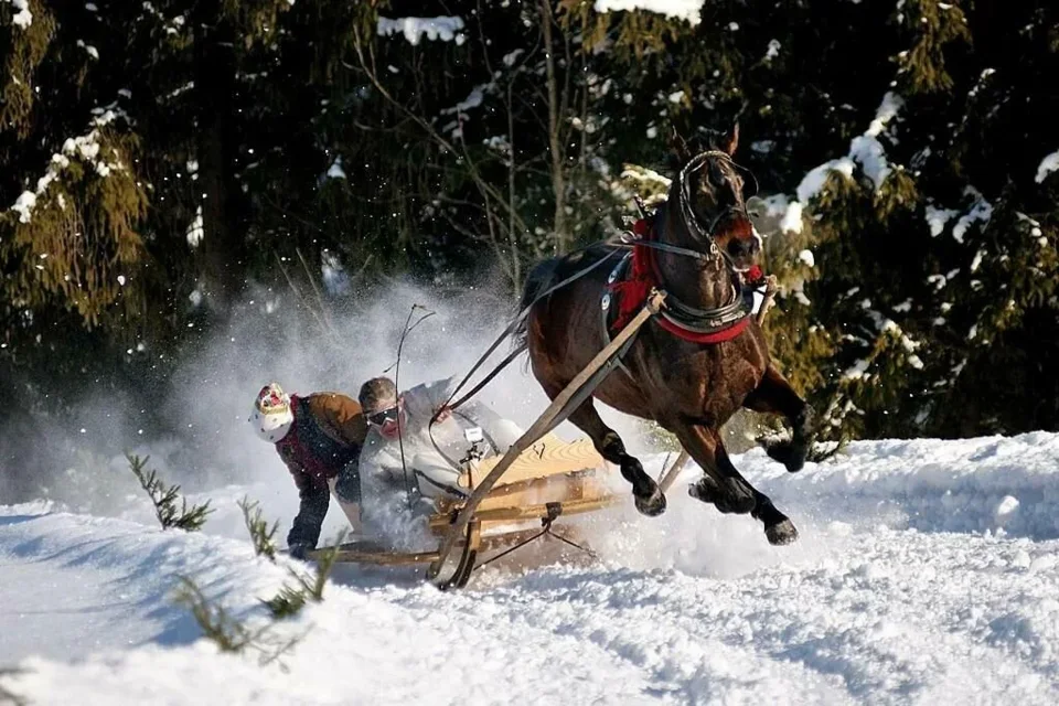Parada Gazdowska 2019 na Polanie Lichajówki