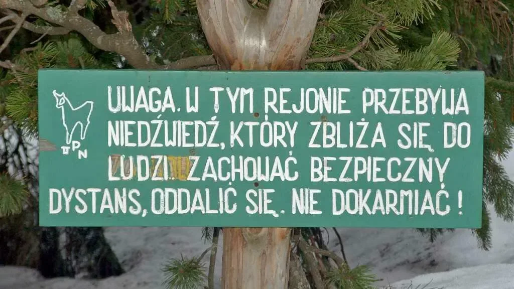 Magda z Doliny Roztoki