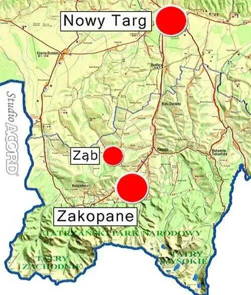 Ząb