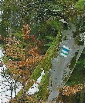Poruszenie w przyrodzie