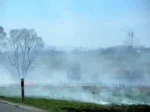 To niszczenie przyrody