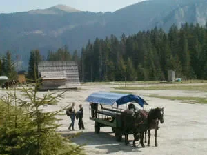 Transport do Morskiego Oka