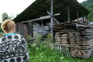 Zaduszone wszystkie kury