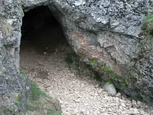 Powrót naukowców - dopiero za rok