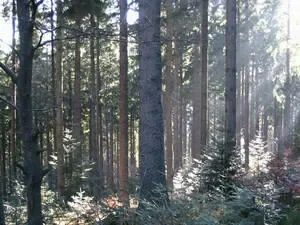 Natura - zatwierdzona