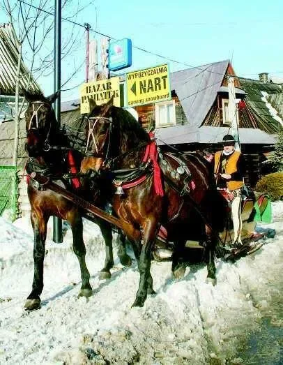 Bukowina zaczęła karnawał