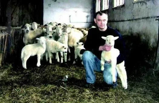 Włosi nie kupili jagniąt od górali