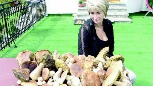 Grzyby są pyszne, ale bardzo zdradliwe