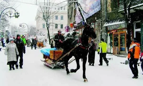 Choć drogo, to jednak wszyscy chcą w góry