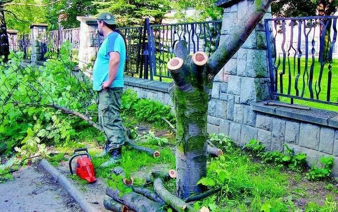 Sprawa Brzozowej trafiła też do CBA