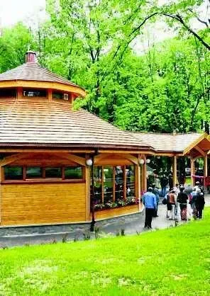 Solanka na zdrowie