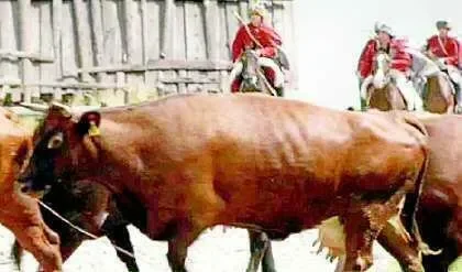 Janosik nie okradał bogatych, tylko doił kasę z Unii