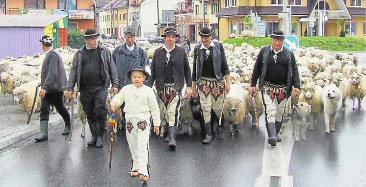W OBIEKTYWIE „GAZETY PODHALAŃSKIEJ"