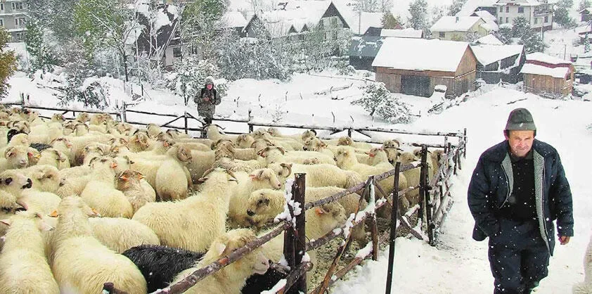 Zima nadal nie odpuszcza. Małopolska walczy ze śniegiem, deszczem i zimnem