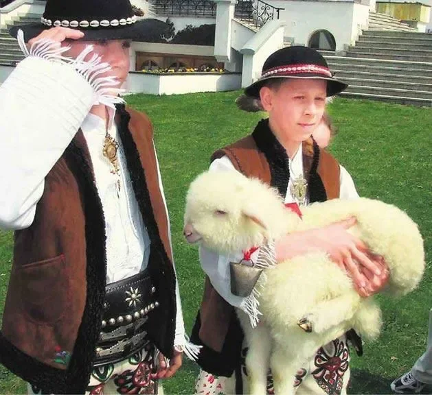 Jagnięta pojadą do Włoch za grosze