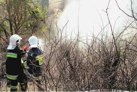 O włos od tragedii przez ludzką głupotę