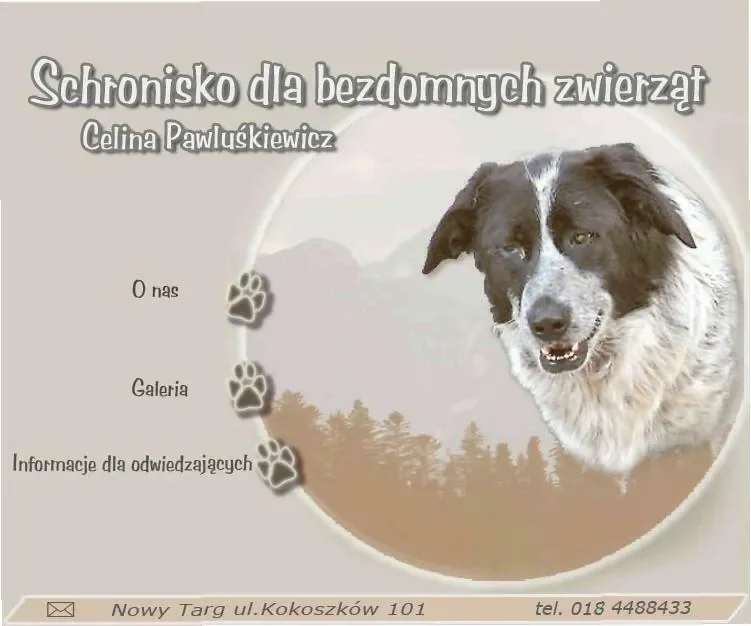 Nowy Targ: Światowy Tydzień Zwierząt