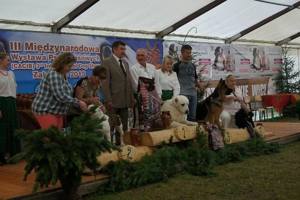 III Międzynarodowa Wystaw Psów Rasowych