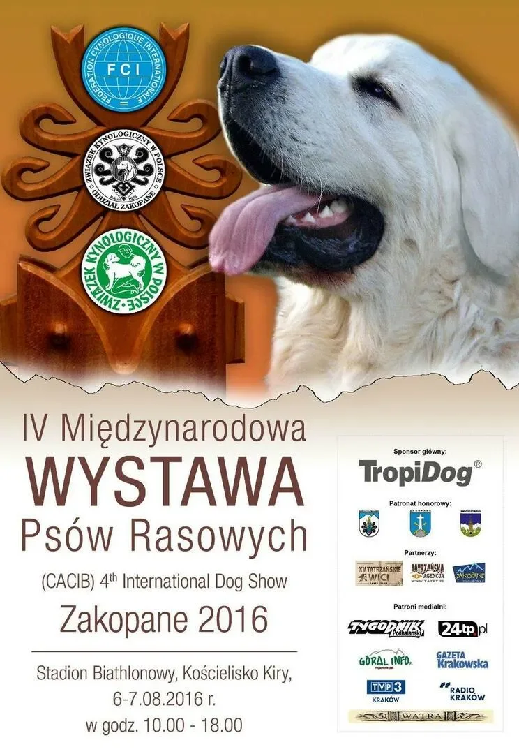Międzynarodowa Wystawa Psów Rasowych