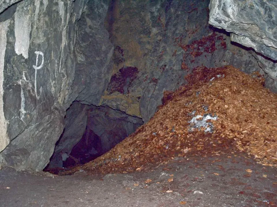 MORFOLOGICZNE TYPY JASKIŃ
