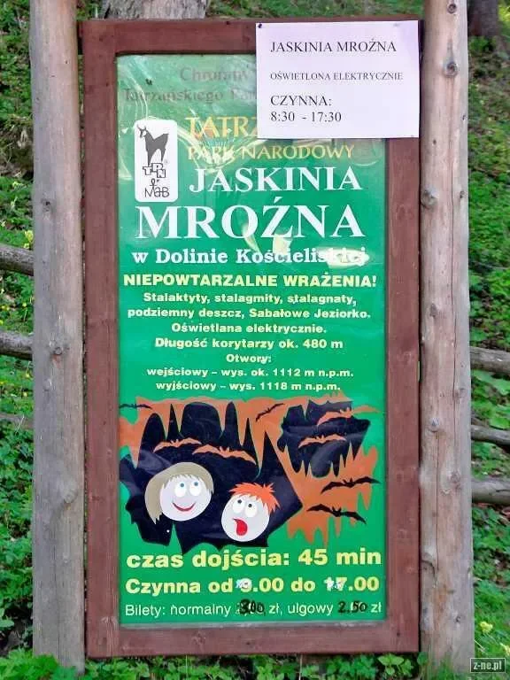 Mroźna
