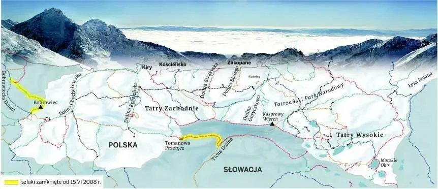 Żeby chronić misie, Słowacy zamykają szlaki w Tatrach