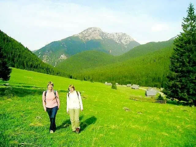 Syczące zygzaki groźne