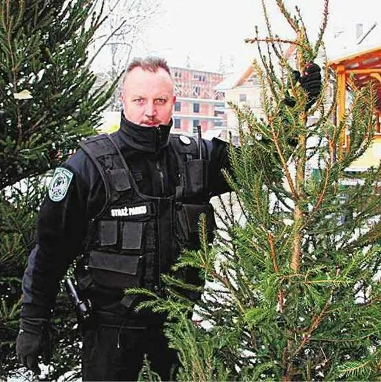 Jodełki pod specjalnym nadzorem... straży parku
