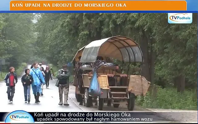 Koń upadł na drodze do Morskiego Oka