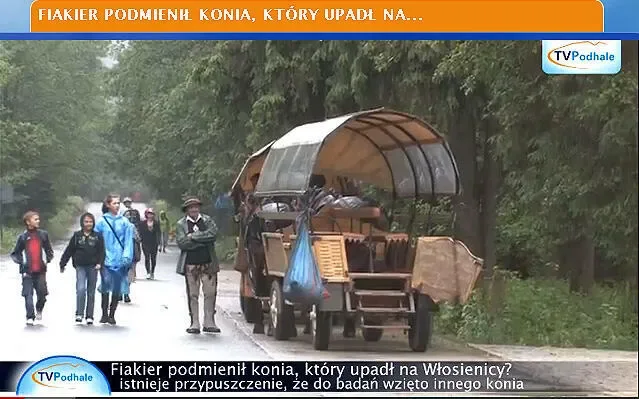 Fiakier podmienił konia, który upadł na Włosienicy?