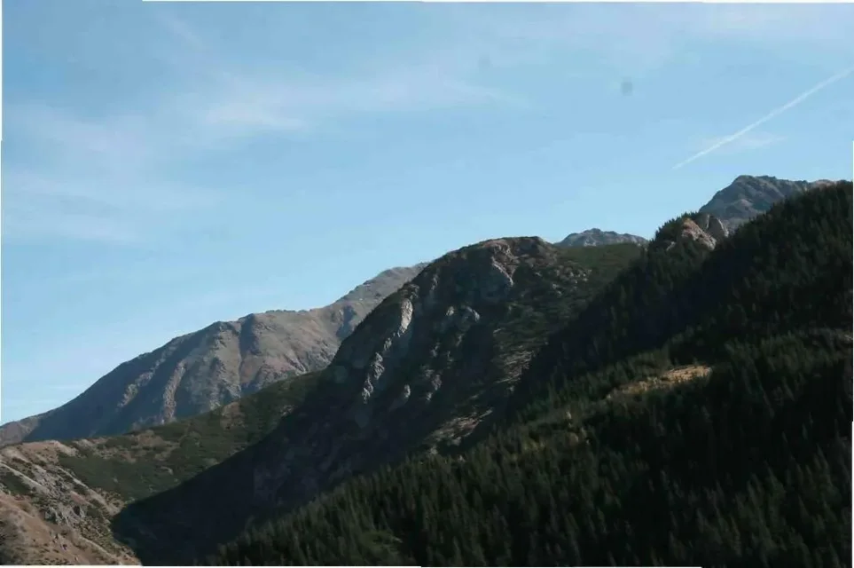 Tatry: zwierzęta przygotowują się do zimy