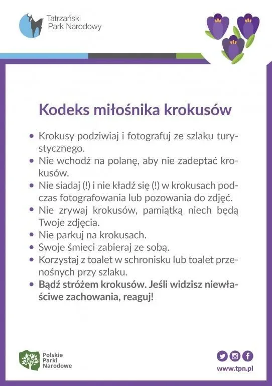 Bądź opiekunem krokusów