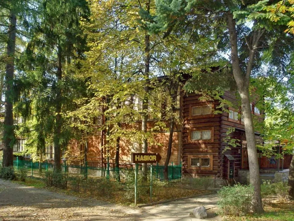 Galeria Władysława Hasiora
